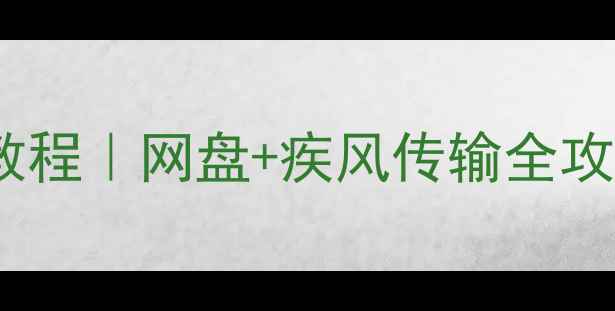 图片 最新电脑局域网共享保姆级教程｜网盘+疾风传输全攻略（附家庭公司宿舍场景）1