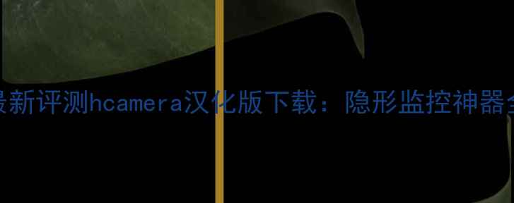 图片 最新评测hcamera汉化版下载：隐形监控神器全