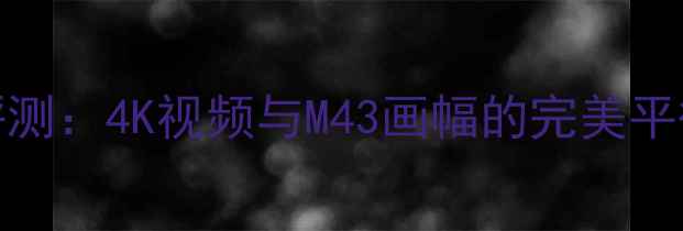 图片 松下GF8微单相机深度评测：4K视频与M43画幅的完美平衡（附详细参数对比）2