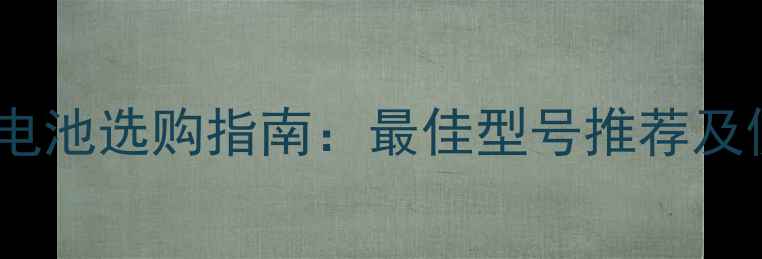 图片 松下相机电池选购指南：最佳型号推荐及使用技巧1