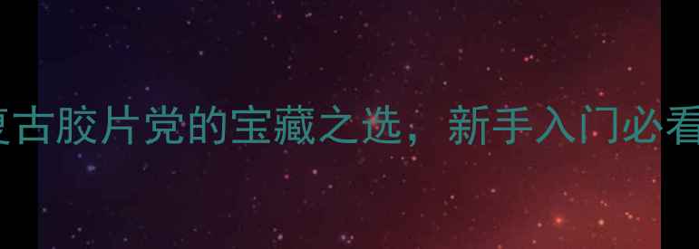 图片 海鸥双镜头120相机测评：复古胶片党的宝藏之选，新手入门必看的高性价比拍立得相机推荐