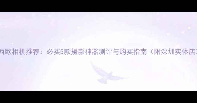 图片 深圳卡西欧相机推荐：必买5款摄影神器测评与购买指南（附深圳实体店攻略）2