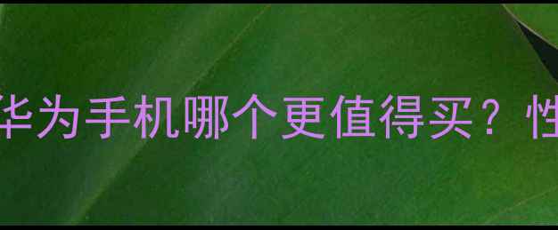 深度对比小米vs华为手机哪个更值得买性能拍照续航全
