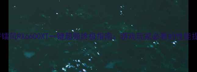 图片 深度测评镭风RX6600XT一键超频终极指南：游戏玩家必看的性能提升方案2
