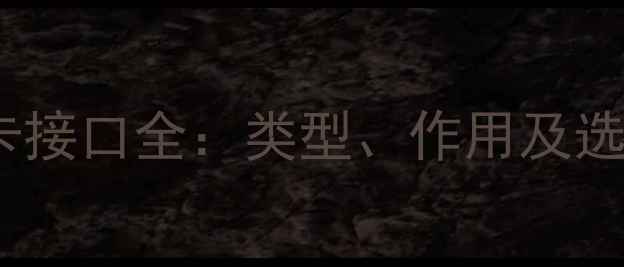 图片 独立显卡接口全：类型、作用及选购指南1