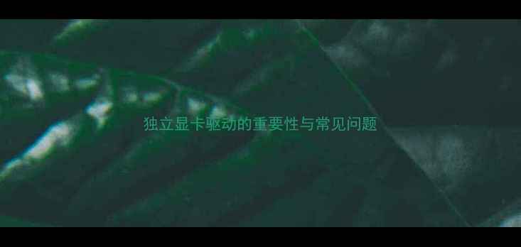 图片 独立显卡驱动的重要性与常见问题