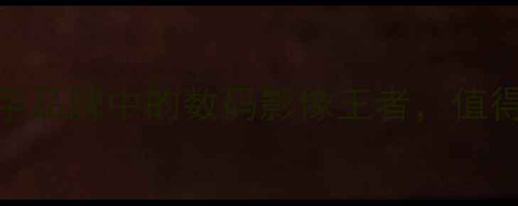 图片 理光相机：三个字品牌中的数码影像王者，值得入手的三大理由