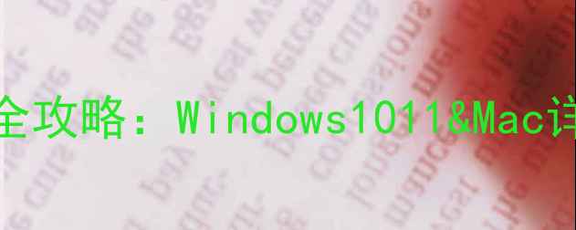 图片 电脑IP地址固定设置全攻略：Windows1011&Mac详细教程（图文详解）