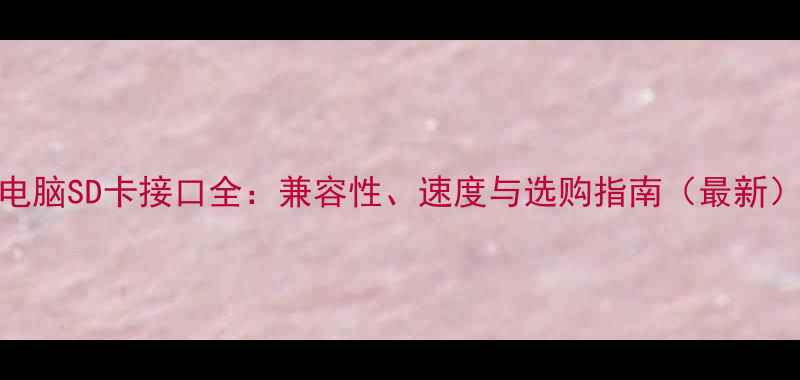 图片 电脑SD卡接口全：兼容性、速度与选购指南（最新）