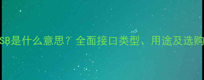 图片 电脑USB是什么意思？全面接口类型、用途及选购指南2