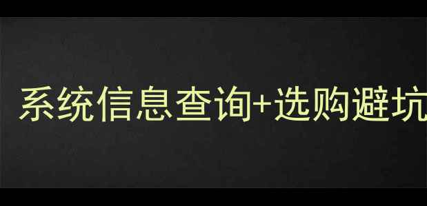 图片 电脑内存品牌型号全：系统信息查询+选购避坑指南（附图解步骤）1