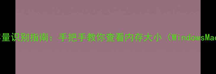 图片 电脑内存条容量识别指南：手把手教你查看内存大小（WindowsMacOS全攻略）2