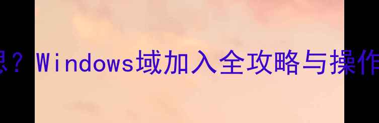 图片 电脑加域是什么意思？Windows域加入全攻略与操作步骤（最新指南）1