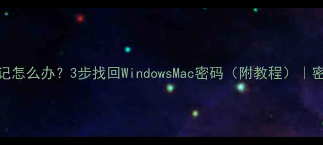 图片 电脑密码忘记怎么办？3步找回WindowsMac密码（附教程）｜密码找回攻略