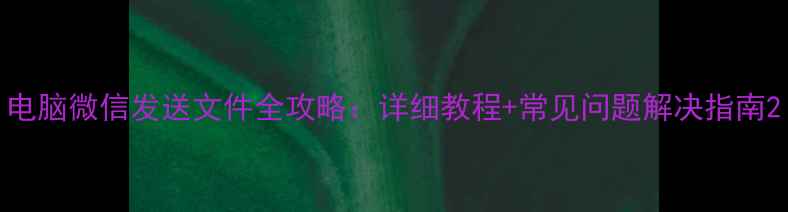 图片 电脑微信发送文件全攻略：详细教程+常见问题解决指南2