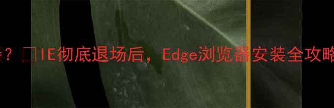 图片 电脑怎么下IE浏览器？🔥IE彻底退场后，Edge浏览器安装全攻略（附避坑指南）✅1