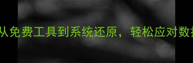 图片 电脑数据备份全攻略：从免费工具到系统还原，轻松应对数据危机（附详细教程）1
