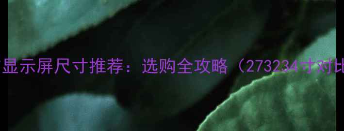 图片 电脑显示屏尺寸推荐：选购全攻略（273234寸对比）1