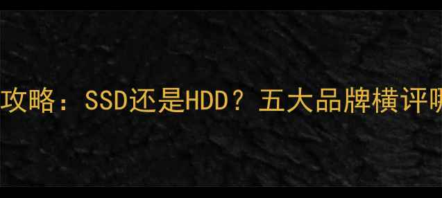 图片 电脑硬盘选购全攻略：SSD还是HDD？五大品牌横评哪个更值得入手2