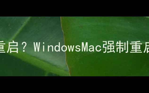 图片 电脑系统卡顿蓝屏如何快速重启？WindowsMac强制重启全攻略（附系统恢复技巧）