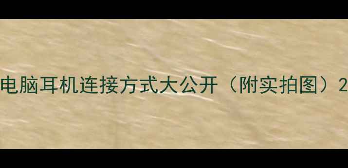 图片 电脑耳机连接方式大公开（附实拍图）2