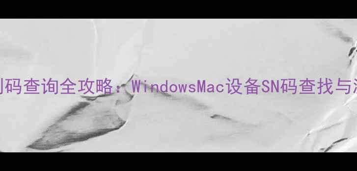 图片 电脑识别码查询全攻略：WindowsMac设备SN码查找与激活指南