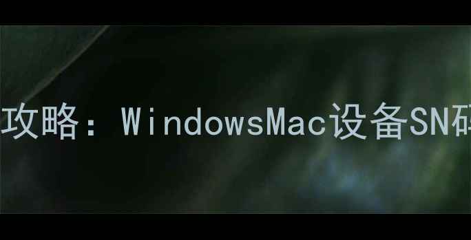 图片 电脑识别码查询全攻略：WindowsMac设备SN码查找与激活指南1