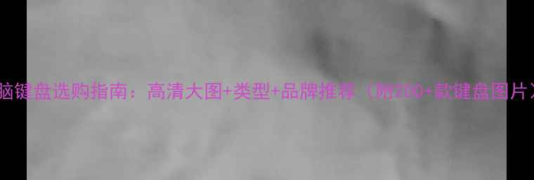 图片 电脑键盘选购指南：高清大图+类型+品牌推荐（附200+款键盘图片）2