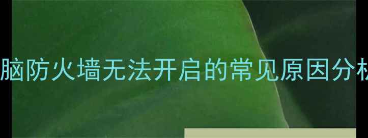 图片 电脑防火墙无法开启的常见原因分析1