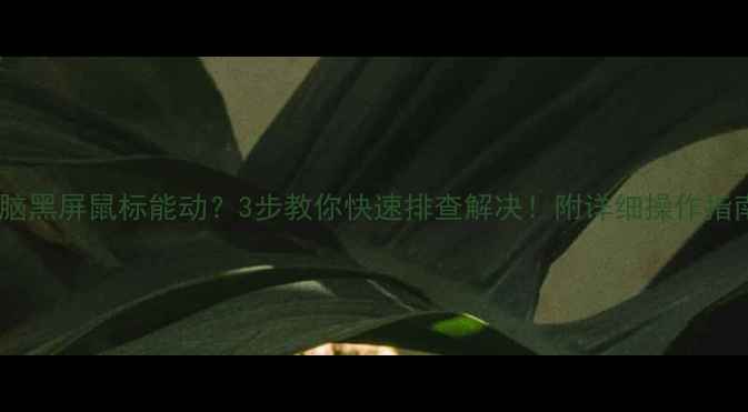 图片 电脑黑屏鼠标能动？3步教你快速排查解决！附详细操作指南1