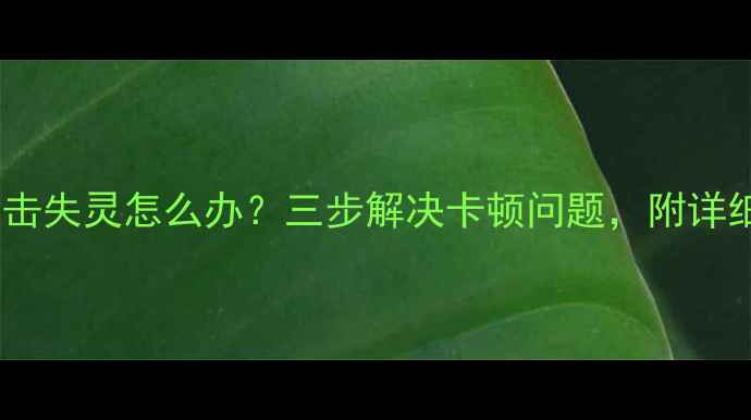 图片 电脑鼠标点击失灵怎么办？三步解决卡顿问题，附详细排查指南2