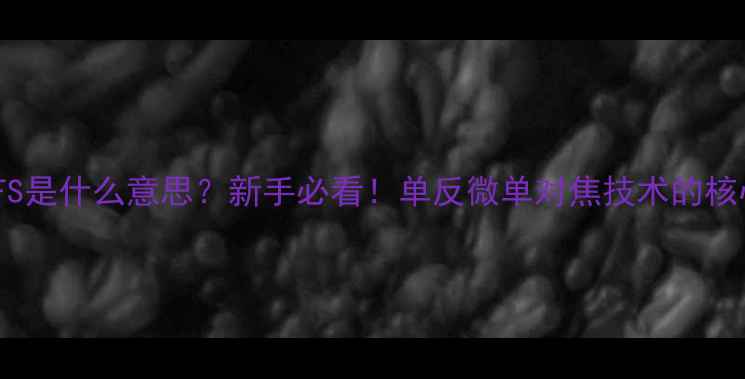 相机AFS是什么意思新手必看单反微单对焦技术的核心秘密