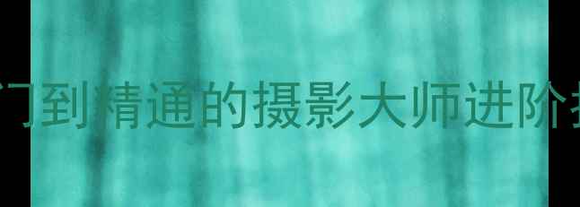 图片 相机AF模式全攻略：从入门到精通的摄影大师进阶指南（附实战设置技巧）2