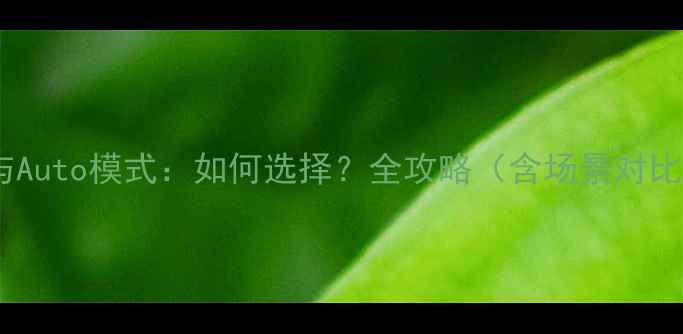 图片 相机P档与Auto模式：如何选择？全攻略（含场景对比&技巧）2