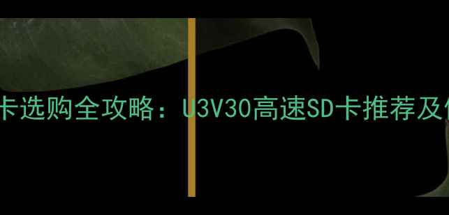 图片 相机内存卡选购全攻略：U3V30高速SD卡推荐及使用指南2