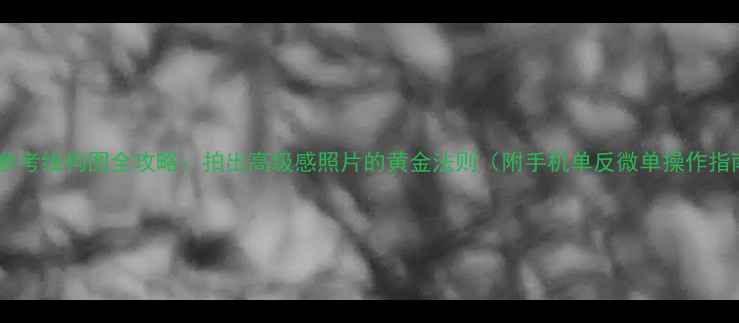 图片 相机参考线构图全攻略：拍出高级感照片的黄金法则（附手机单反微单操作指南）2