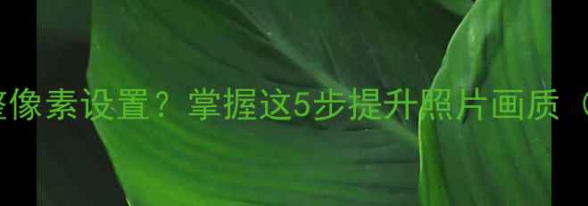 图片 相机如何调整像素设置？掌握这5步提升照片画质（含全参数）1