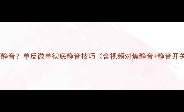 图片 相机如何静音？单反微单彻底静音技巧（含视频对焦静音+静音开关设置）1