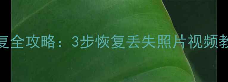 图片 相机存储卡数据恢复全攻略：3步恢复丢失照片视频教程+专业工具推荐2