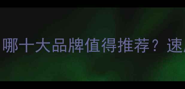 图片 相机存储卡选购指南：哪十大品牌值得推荐？速度、稳定性与性价比全