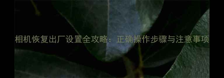 图片 相机恢复出厂设置全攻略：正确操作步骤与注意事项