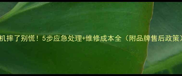 图片 相机摔了别慌！5步应急处理+维修成本全（附品牌售后政策）2