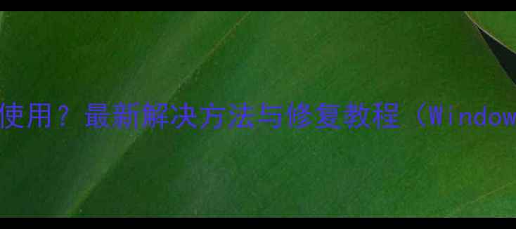 图片 相机无法正常使用？最新解决方法与修复教程（WindowsMac全指南）