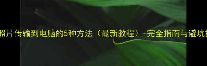 图片 相机照片传输到电脑的5种方法（最新教程）-完全指南与避坑技巧1