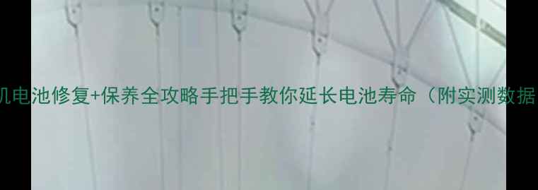 图片 相机电池修复+保养全攻略手把手教你延长电池寿命（附实测数据）1