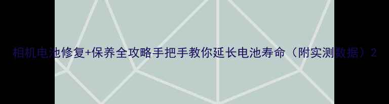 图片 相机电池修复+保养全攻略手把手教你延长电池寿命（附实测数据）2
