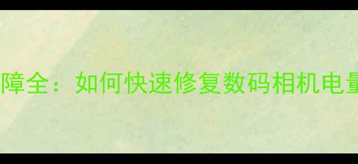 图片 相机电量显示故障全：如何快速修复数码相机电量不显示问题？2