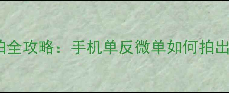 图片 相机美图拍拍全攻略：手机单反微单如何拍出高级感照片1