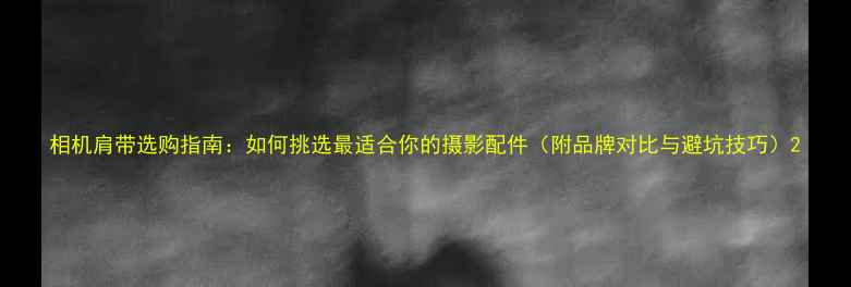 图片 相机肩带选购指南：如何挑选最适合你的摄影配件（附品牌对比与避坑技巧）2