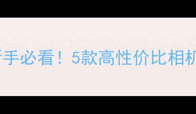 图片 相机选购指南：新手必看！5款高性价比相机推荐及使用技巧2